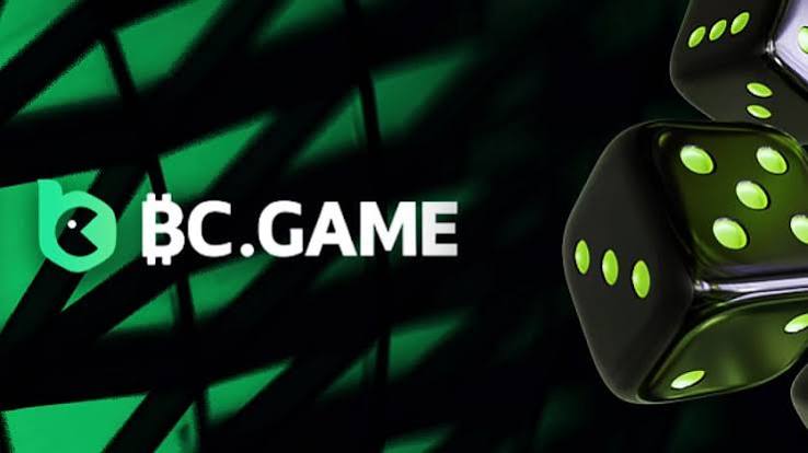 Exploring BC.Game The Future of Online Gaming in Germany